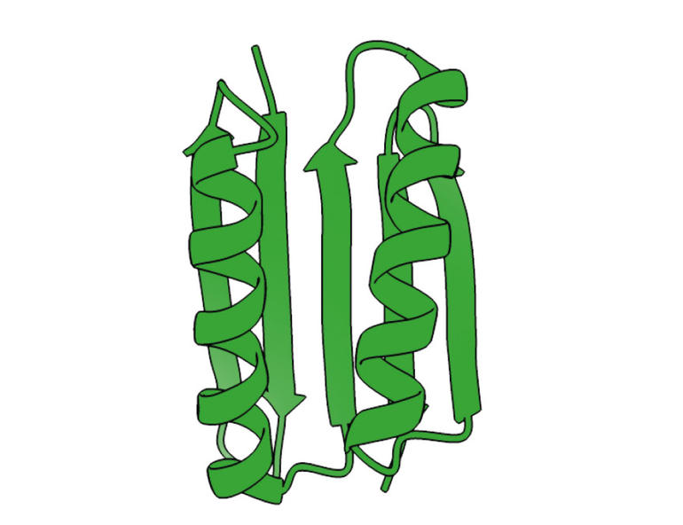 Var olan ve bilinen tüm proteinlerden tamamen farklı olan ilk protein Top7. Var olan ve bilinen tüm proteinlerden tamamen farklı olan ilk protein Top7.