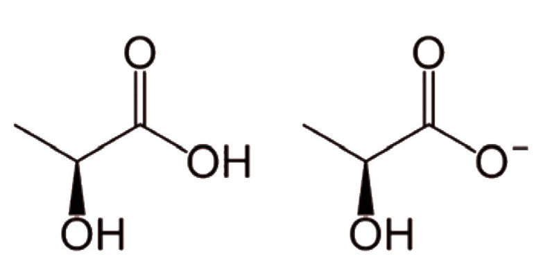 Laktik asit ve Laktat