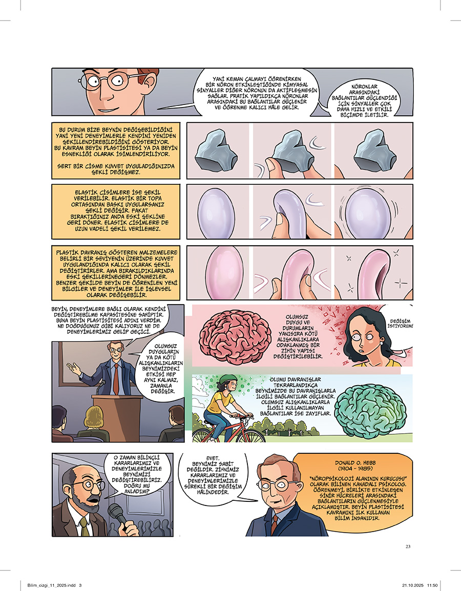 Donald O. Hebb (1904 - 1985)  Donald O. Hebb, &quot;Nöropsikoloji alanının kurucusu&quot; olarak bilinen Kanadalı psikologdur. Öğrenmeyi, birlikte etkinleşen sinir hücreleri arasındaki bağlantıların güçlenmesiyle açıklamıştır. Beyin plastisitesi kavramını ilk kullanan bilim insanıdır.