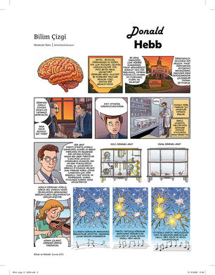 Donald O. Hebb (1904 - 1985)  Donald O. Hebb, "Nöropsikoloji alanının kurucusu" olarak bilinen Kanadalı psikologdur. Öğrenmeyi, birlikte etkinleşen sinir hücreleri arasındaki bağlantıların güçlenmesiyle açıklamıştır. Beyin plastisitesi kavramını ilk kullanan bilim insanıdır.