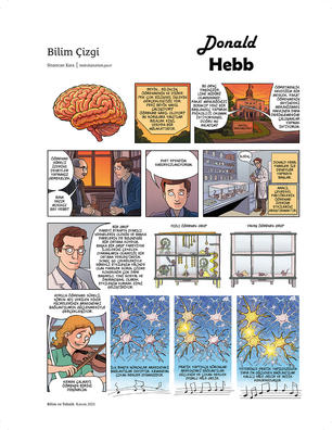 Donald O. Hebb (1904 - 1985)  Donald O. Hebb, "Nöropsikoloji alanının kurucusu" olarak bilinen Kanadalı psikologdur. Öğrenmeyi, birlikte etkinleşen sinir hücreleri arasındaki bağlantıların güçlenmesiyle açıklamıştır. Beyin plastisitesi kavramını ilk kullanan bilim insanıdır.