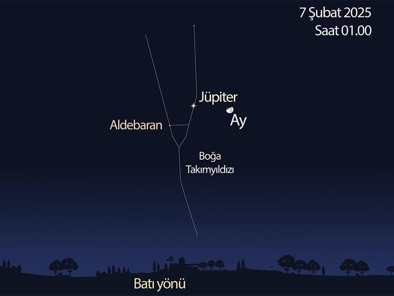 7 Şubat gecesi Jüpiter’i ve ilk dördün evresinden yakın zamanda ayrılan şişkin Ay’ı Boğa Takımyıldızı’nda birbirine yakın görebilirsiniz. 