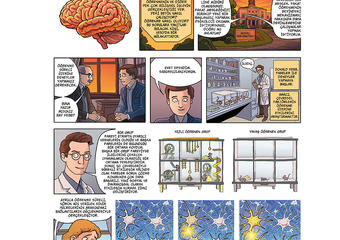 Donald O. Hebb (1904 - 1985)  Donald O. Hebb, "Nöropsikoloji alanının kurucusu" olarak bilinen Kanadalı psikologdur. Öğrenmeyi, birlikte etkinleşen sinir hücreleri arasındaki bağlantıların güçlenmesiyle açıklamıştır. Beyin plastisitesi kavramını ilk kullanan bilim insanıdır.