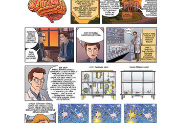 Donald O. Hebb (1904 - 1985)  Donald O. Hebb, "Nöropsikoloji alanının kurucusu" olarak bilinen Kanadalı psikologdur. Öğrenmeyi, birlikte etkinleşen sinir hücreleri arasındaki bağlantıların güçlenmesiyle açıklamıştır. Beyin plastisitesi kavramını ilk kullanan bilim insanıdır.