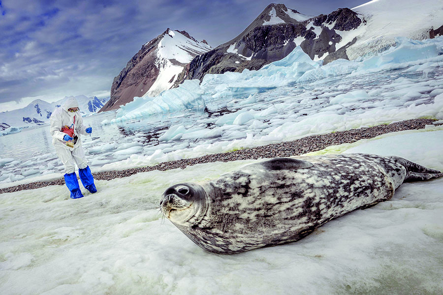 Antarktika'daki kimyasal kalıntı izleri takip ediliyor.