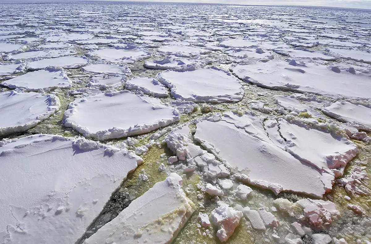 Güney Okyanusu’nda meydana gelen devasa plankton patlamaları