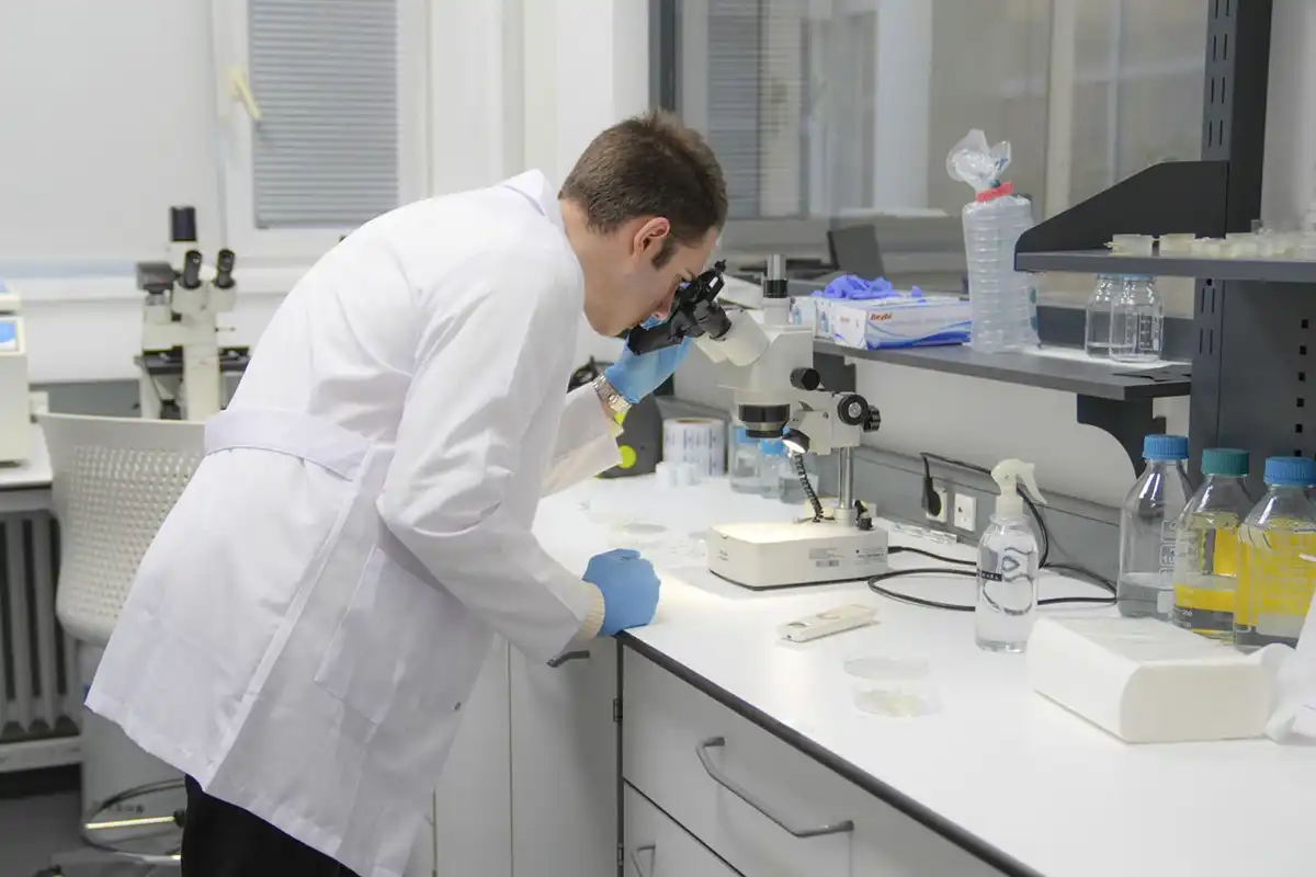 genetigi degistirilmis bakteri implant sensor 2
